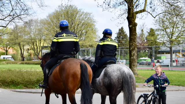 Politie te paard in het Oosterpark