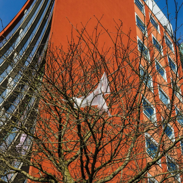 Roodgekleurde flat met op de voorgrond een kale boom waar een stuk plastic in hangt.